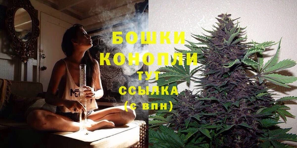 прущий лед Ельня