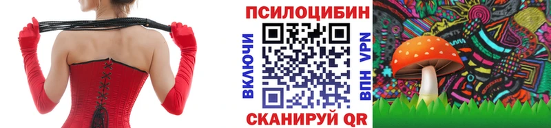 Псилоцибиновые грибы MAGIC MUSHROOMS  Купить  Перевоз 